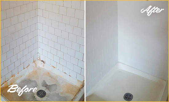 Before and After Picture of a Port Orange Shower Tile and Grout Cleaned to Remove Soap Scum
