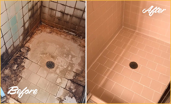 Before and After Picture of a Debary Hard Surface Restoration Service on a Tile Bathroom to Repair Water Damage
