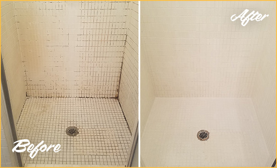 Before and After Picture of a South Daytona Bathroom Grout Sealed to Remove Mold