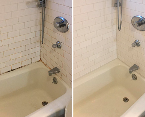 Shower Before and After a Grout Cleaning in Daytona Beach, FL