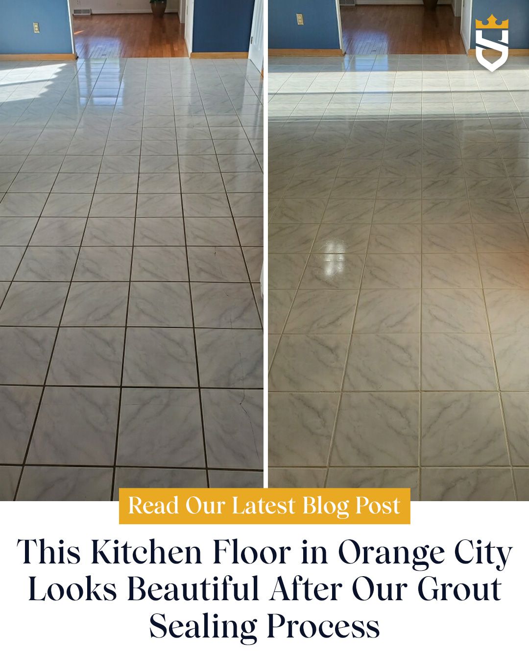 This Kitchen Floor in Orange City Looks Beautiful After Our Grout Sealing Process